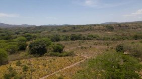 Finca en Venta en  Oratorio, Santa Rosa