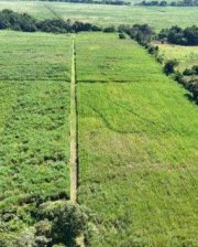 Finca en Venta en Nueva concepción Escuintla Nueva Concepción, Escuintla