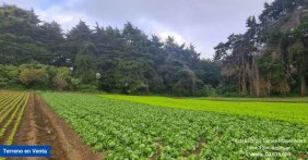 Terreno en Venta en  San Bartolomé Milpas Altas, Sacatepéquez