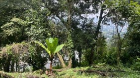 Terreno en Venta en  Guatemala, Guatemala