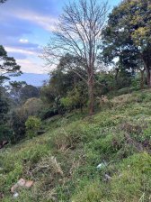 Terreno en Venta en  Villa Canales, Guatemala