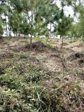 Terreno en Venta en  San Juan Sacatepéquez, Guatemala