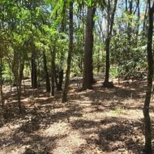Terreno en Venta en SAN JUAN SACATEPEQUEZ / ALDEA DE LO DE MEJIA Guatemala, Guatemala