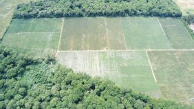 Finca en Venta en El Jocotillo Villa Canales, Guatemala