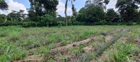 Finca en Venta en  Mazatenango, Suchitepéquez