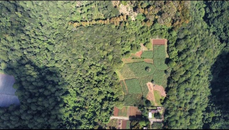 Finca San Lucas Sacatepequez