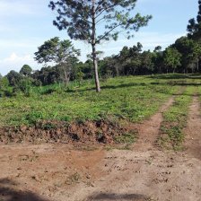 Terreno en Venta en Lo de Mejia San Juan Sacatepéquez, Guatemala
