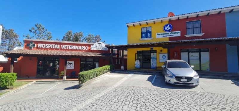 Foto Local en Renta en San Lucas Sacatepequez, Sacatepéquez - U$D 550 - LOR19615 - BienesOnLine