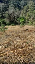 Terreno en Venta en Patulin San Lucas Sacatepéquez, Sacatepéquez