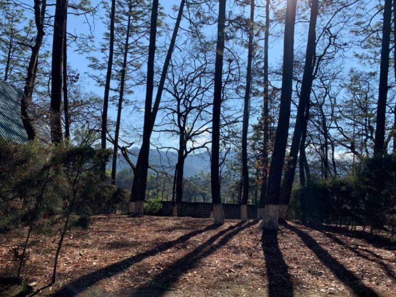 Terreno en Venta en  Santo Domingo Xenacoj, Sacatepéquez