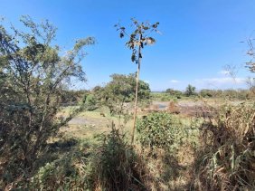 Terreno en Venta en MASAGUA ESCUINTLA Escuintla, Escuintla
