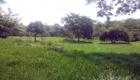 Terreno en Venta en Km 117 Carretera a Taxisco