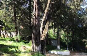 Terreno en Venta en Santa Lucía Milpas Altas Santa Lucía Milpas Altas, Sacatepéquez