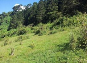 Terreno en Venta en  Guatemala, Guatemala
