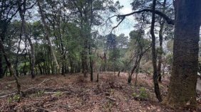 Terreno en Venta en El Encinal Mixco, Guatemala