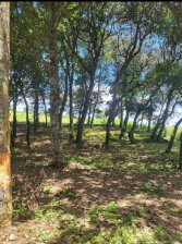 Terreno en Venta en  Santiago Sacatepéquez, Sacatepéquez