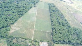 Finca en Venta en  Villa Canales, Guatemala