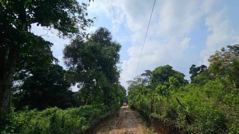 Terreno en Venta en  Villa Canales, Guatemala