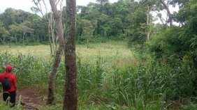 Finca en Venta en  Nuevo San Carlos, Retalhuleu
