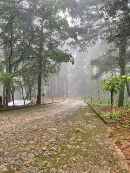 Foto Terreno en Venta en San Lucas Sacatepéquez, Sacatepéquez - 8290 hectareas - Q 1.800.000 - TEV49022 - BienesOnLine