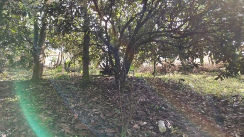 Venta Terreno San Cristobal El Alto Antigua Guatemala